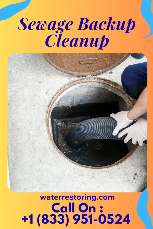 Sewage Backup Cleanup in Wilton, WI
